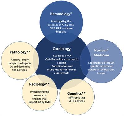 Current barriers and recommendations on the diagnosis of transthyretin amyloid cardiomyopathy: a Delphi study